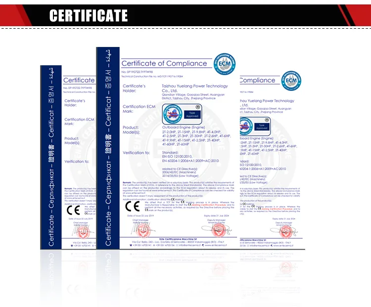 Hot Sale 4 Stroke 196cc 6HP Outboard Motor / Outboard Engine/ Boat Engine