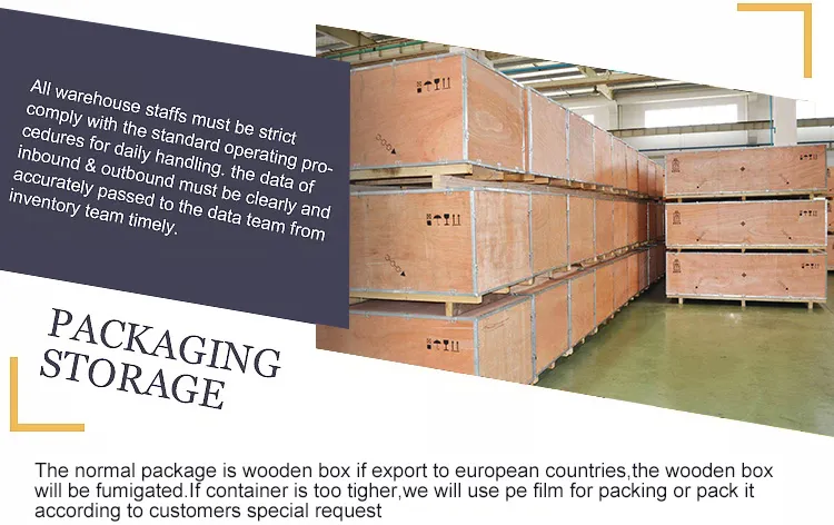 Hot Sale Brand New Yuchai Marine Motor