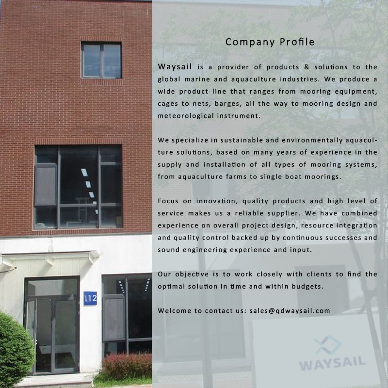 Lr, ABS, BV, Kr, Dnv Certificated Hhp Delta Type Anchor for Mooring Project