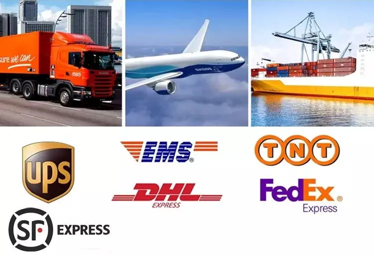 Marine 4408 Grade Mirror Polished Hardware 316 Stainless Steel Pool Anchor for Yacht