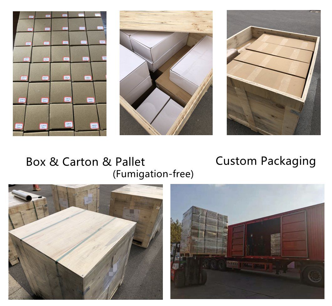 Marine Hardware Folding Boat Anchor Stainless Steel Grapnel Anchor