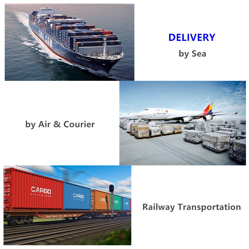 Marine Hardware Folding Boat Anchor Stainless Steel Grapnel Anchor