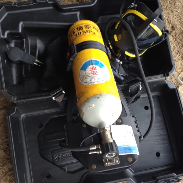 Second Hand Marine Lifesaving Equipment Solas Fibergalss Used Lifeboat for Sale